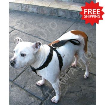 Dog Safety Belt Harness SMALL - Suitable for walking and in car wagon 4WD 4x4